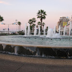 IMG_3384.JPG