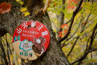 山火事注意 Photo