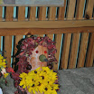 DSC_0184.JPG