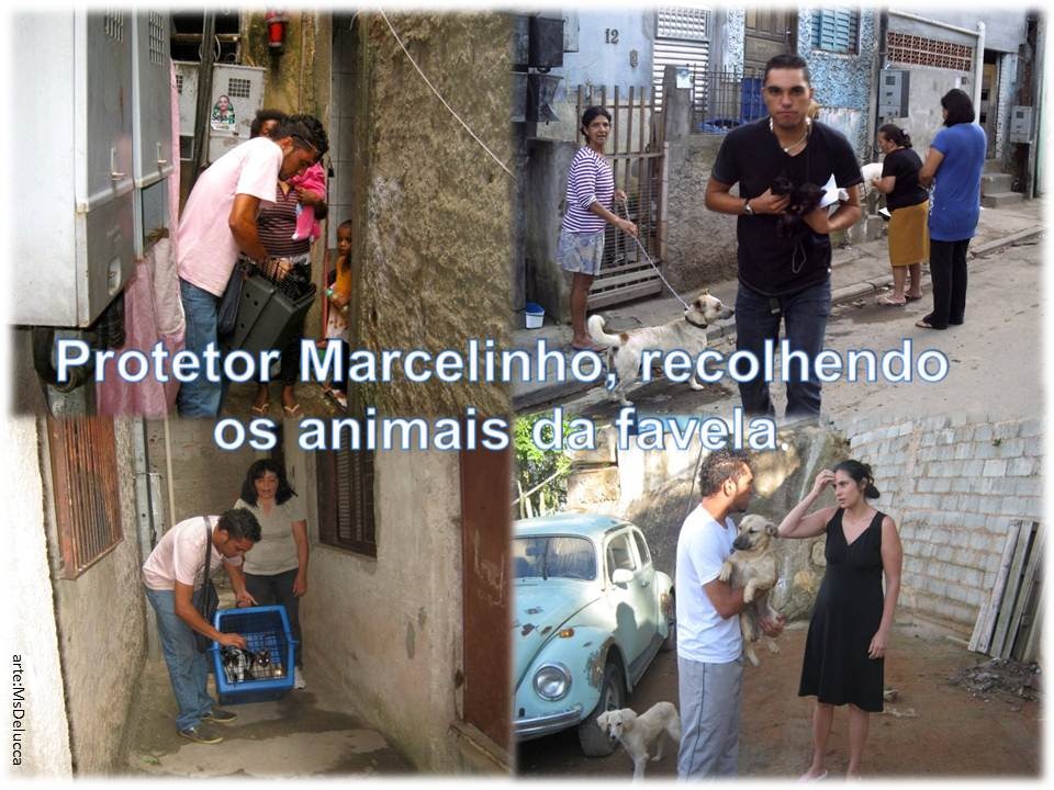[marcelinho_protetor013.jpg]