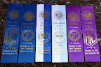 Just look at all of these winning ribbons!  G.K., you're really on your way to the top!  Sharkey and I are so proud of you!