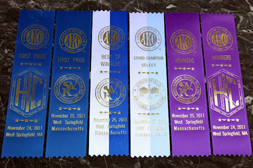 Just look at all of these winning ribbons!  G.K., you're really on your way to the top!  Sharkey and I are so proud of you!