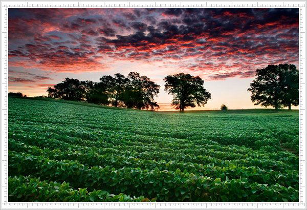 Amazing places around the world