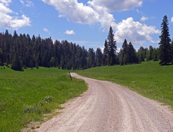 Custer Route