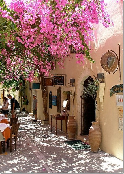 Blossoms, Rethymno, Greece