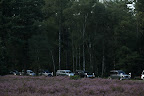 IMG_5513.JPG
