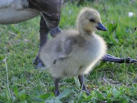 DSC_0373_new.jpg