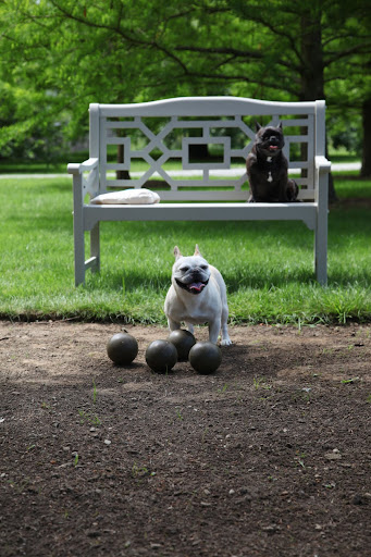 Too bad we don't have a pallino, or target ball.  You're supposed to toss that first and then aim for it with these larger balls.