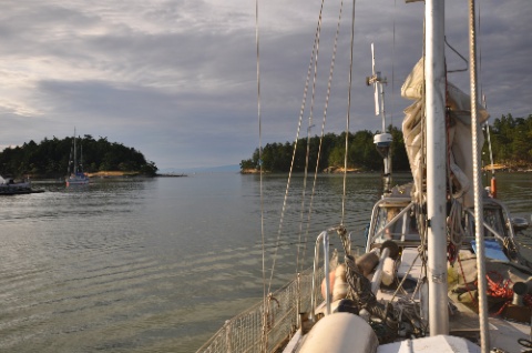 DSC_0083.jpg DSC 0083