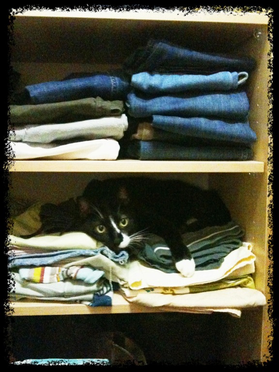 [ezra%2520shelf%255B8%255D.jpg]