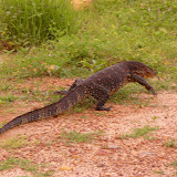  foto album Sri Lanka