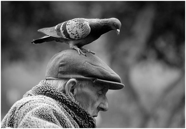 [image90%255B3%255D.png]