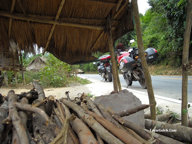 [DSCN79202.jpg]
