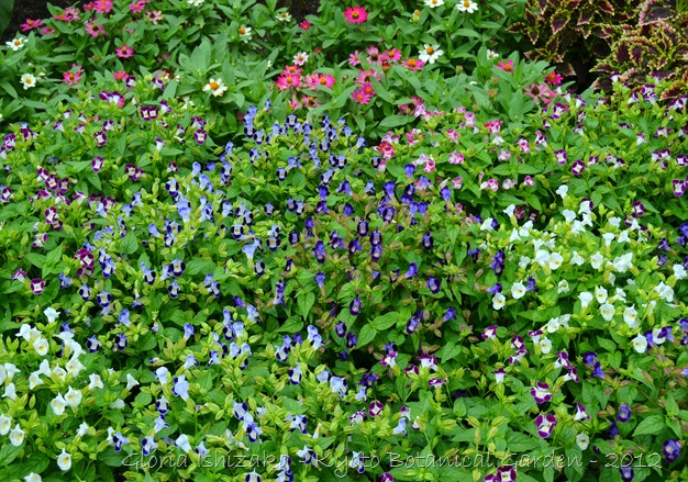 Glória Ishizaka -   Kyoto Botanical Garden 2012 - 103