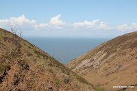 IMG_6026.JPG Photo