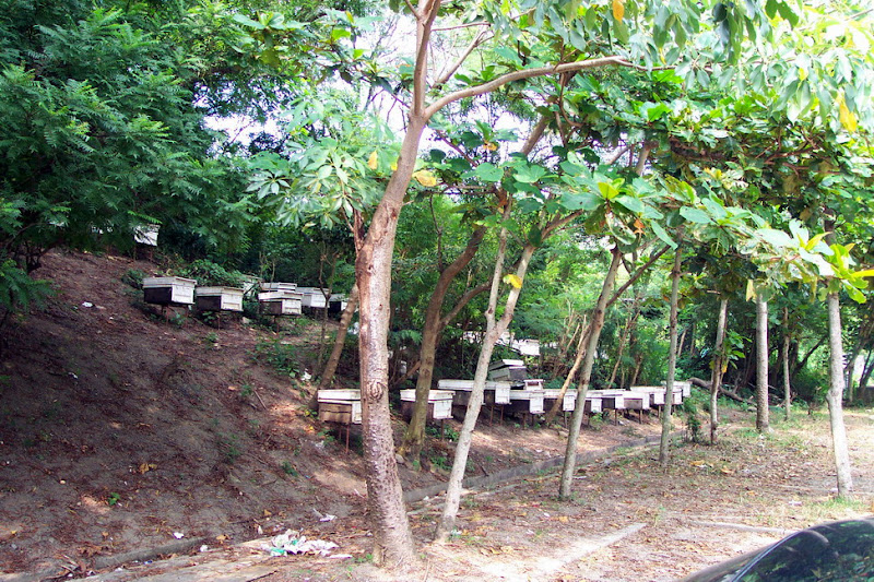 20060819_22_kenting_174.jpg