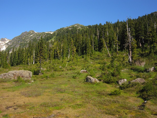 [IMG_56813.jpg]
