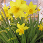Frühlingserwachen im Edenlehen