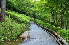 37 - Glória Ishizaka - Arashiyama e Sagano - Kyoto - 2012