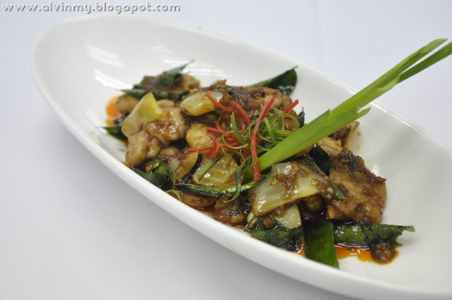 [Celsius_CopyrightTEG_DSC0414%255B2%255D.jpg]