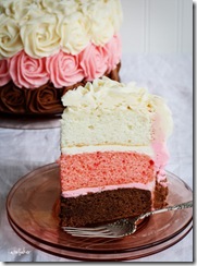 neopolitan-cake-slice