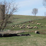 "Northwestern Iowa Pastoral Scene" - copyright Ken Katerberg