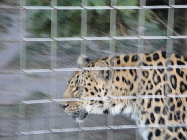 [ZooWeekend068.jpg]