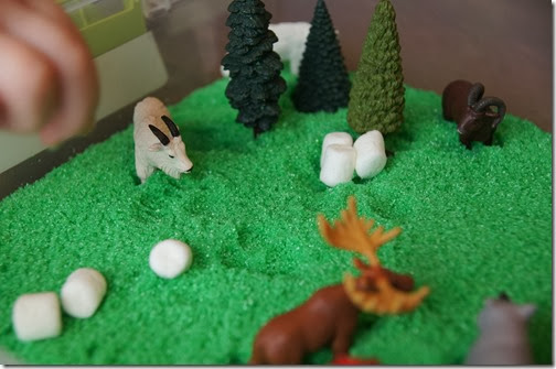 Preschool Science - forest habitat sensory bin with scented homemade sand Preschool Science - forest habitat sensory bin with scented homemade sand