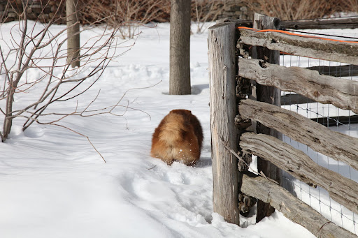 Therefore, I'm off on my further explorations!