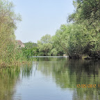 IMG_7694.JPG