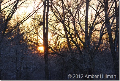 sunrise12-23-12