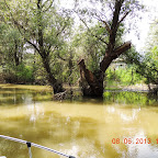 DSCN7231.JPG
