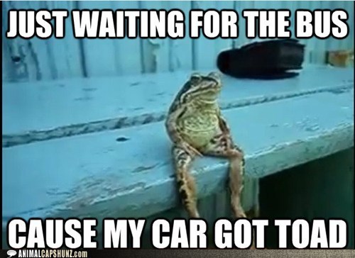 Funny Pictures With Captions For Teens 2 Funny Pictures With Captions For Teens 2