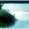 DSC00284 copy.jpg