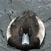 DSC_2634.JPG