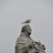 DSC_0112.jpg