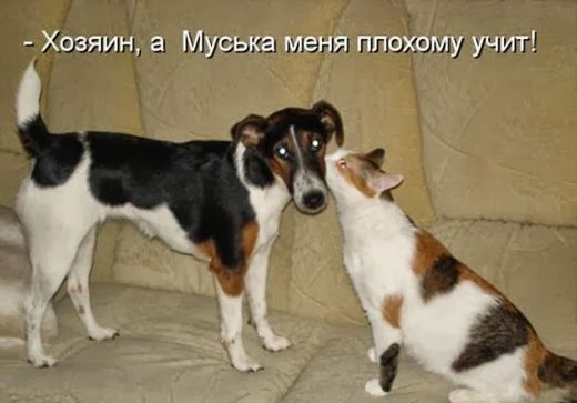 [102e240f0ee33cdf337e4fda10c_prev%5B7%5D.jpg]
