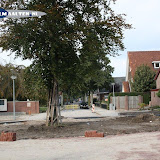 IMG_8736.jpg