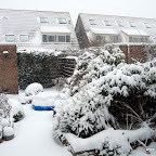 DSC_3432.JPG