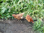 Posted via email from Beyond pre-posterous