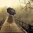 Follow Me