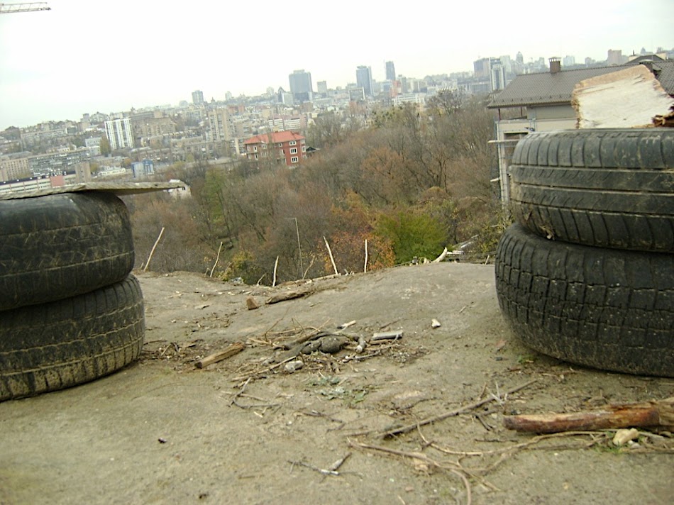 2010-11-25 171647 z_c5da7945.jpg