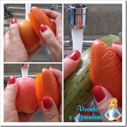 escova para higienizar frutas e lgumes2