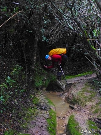 [P1140555%255B15%255D.jpg]