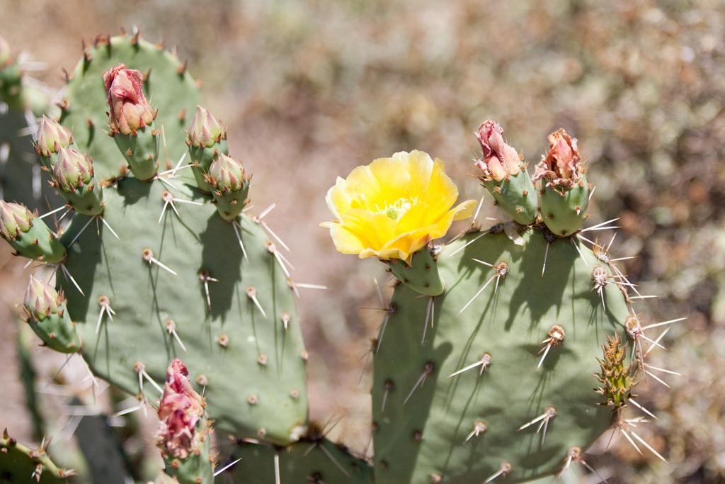 [20120422-IMG_25824.jpg]