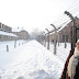 DSC03885.JPG - 