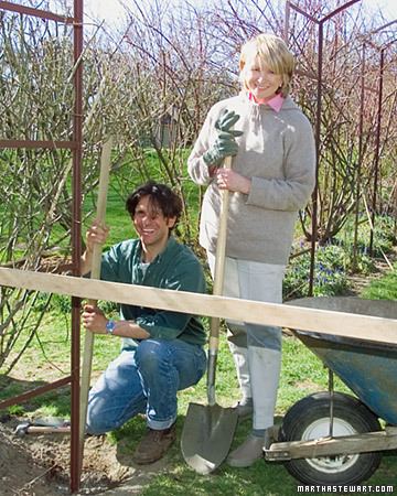 Tom Tamborello helps me install the last of the rose arches in my garden. (OAD: 5/17/1999)