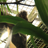 Im Aquarium in Skansen. Stockholm - 3 Tag 243.jpg