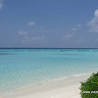 l032.jpg