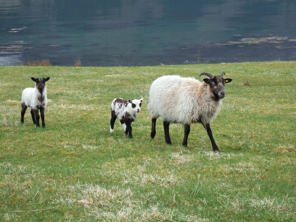 [019%255B6%255D.jpg]